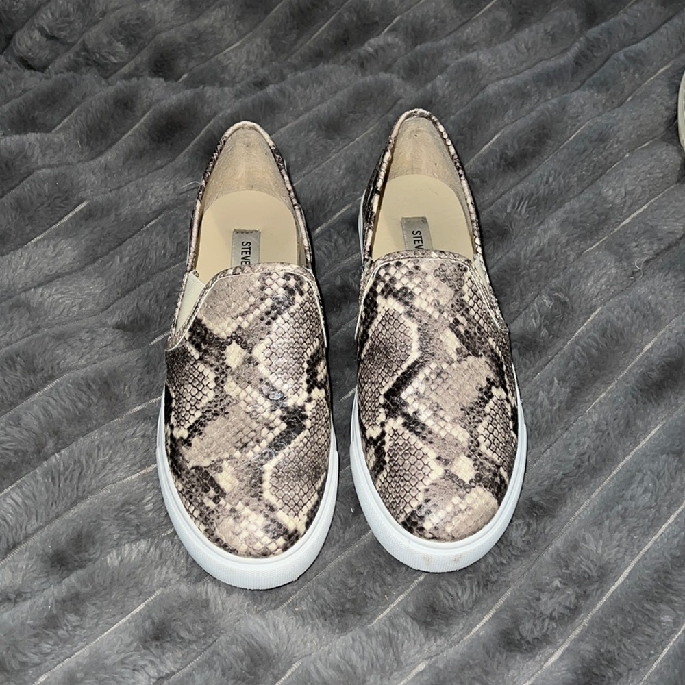 Snake Skin Steve Madden Shoes